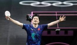 一年亏掉一个亿！WTT深夜道歉求原谅两次喊话樊振东