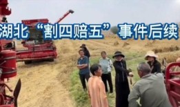 “割四赔五”风波升级：多家派出所介入网红出面也无力扭转局面